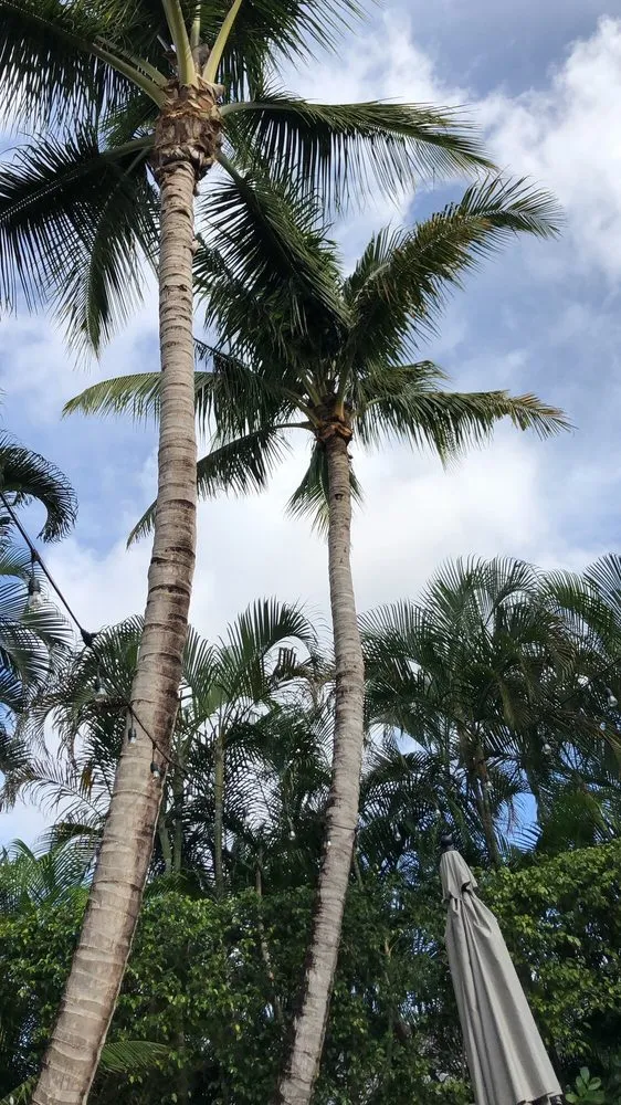 Affordable landscape installation in Miami, FL - Premium Landscaping