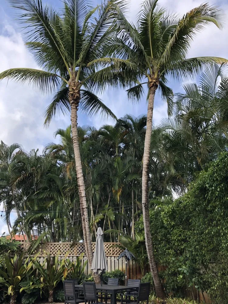 Reliable garden landscaping for residential properties in Miami, FL by Premium Landscaping