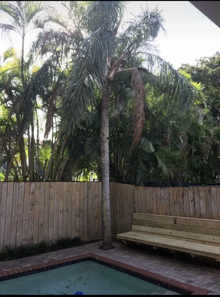 Professional residential landscaping in Miami, FL - Premium Landscaping