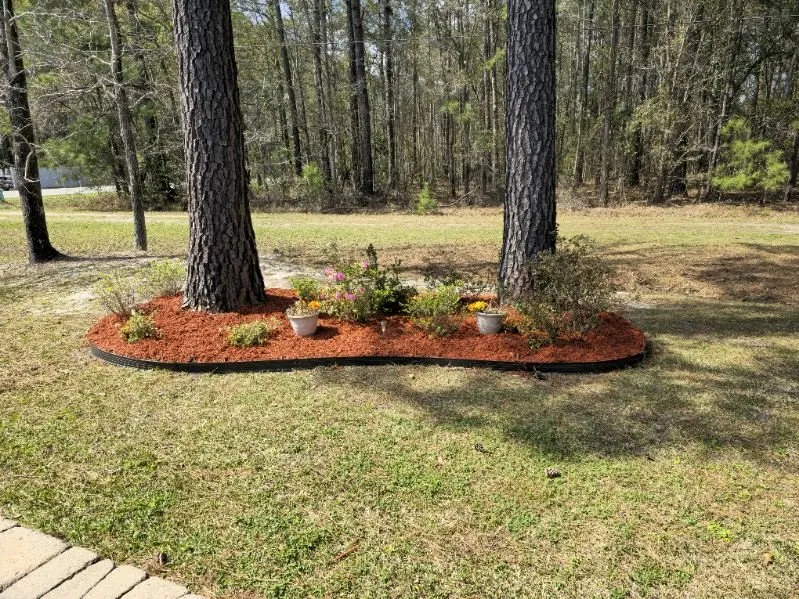 Expert landscaping services in Myrtle Beach, SC by Premium Landscaping