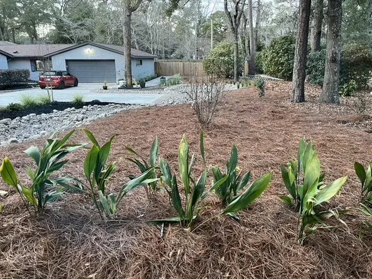 Premium Landscaping Logo