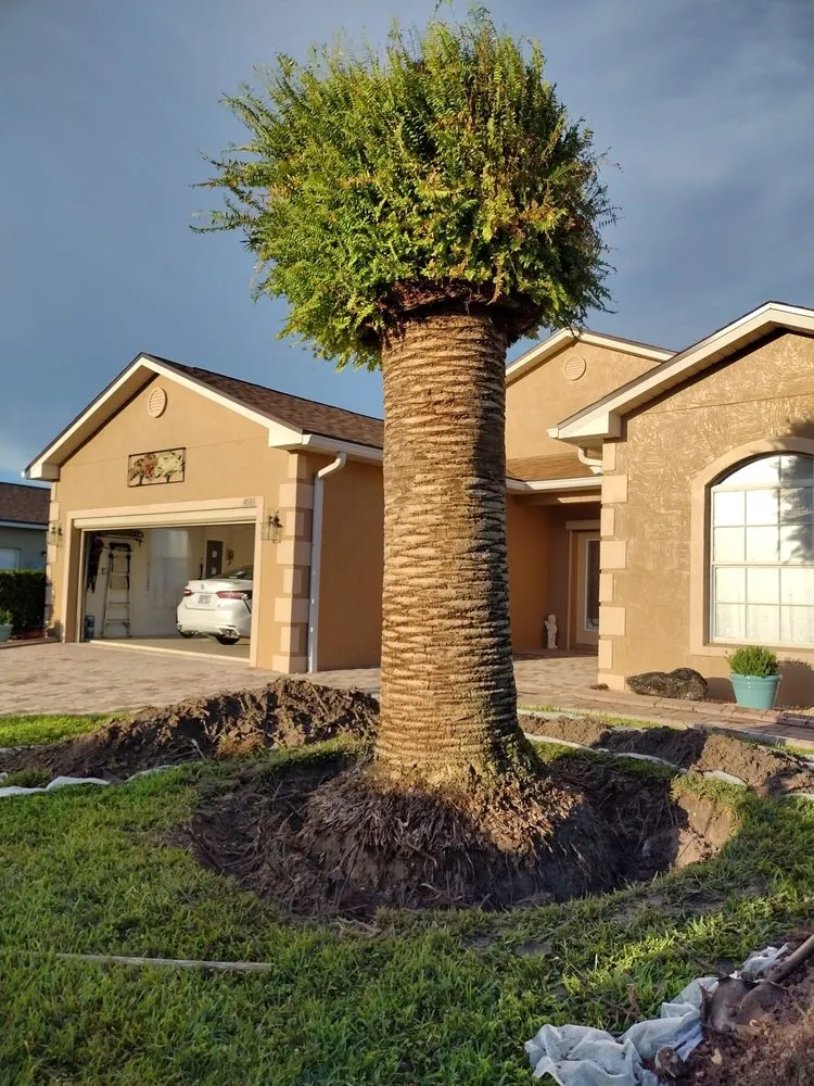 Trusted lawn mowing service experts serving Haines City, FL - Premium Landscaping Services