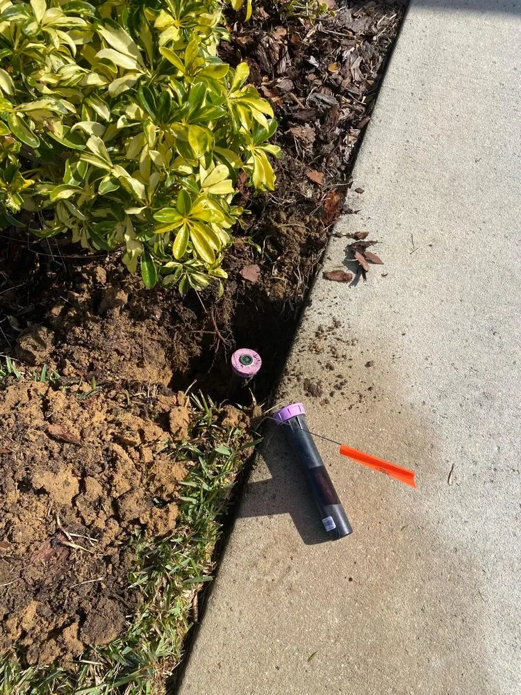 Affordable lawn care service in Haines City, FL by Premium Landscaping Services