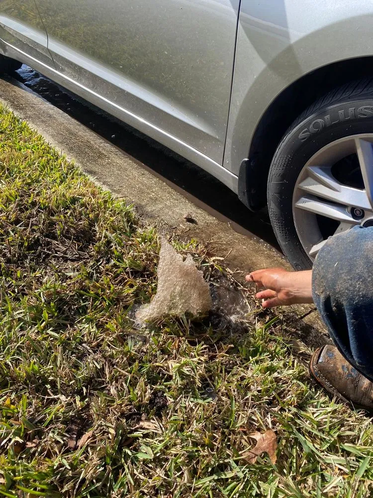 Reliable lawn care service for residential properties across Haines City, FL - Premium Landscaping Services