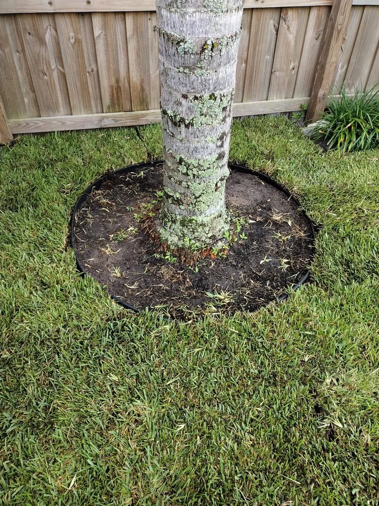 Reliable lawn mowing service in Haines City, FL - Premium Landscaping Services