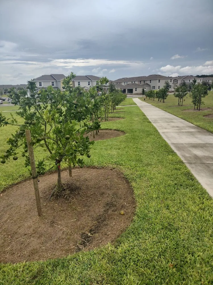 Professional outdoor landscaping in Haines City, FL by Premium Landscaping Services