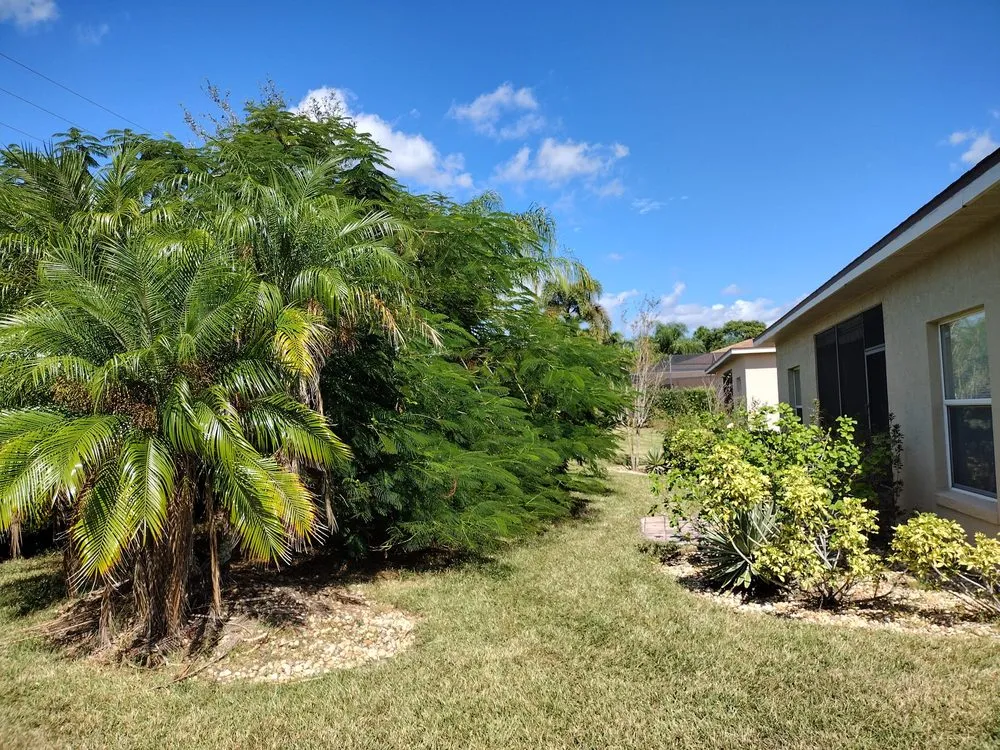 Custom yard maintenance experts serving Haines City, FL - Premium Landscaping Services