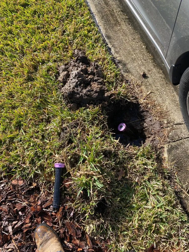 Custom lawn care service for homes in Haines City, FL by Premium Landscaping Services