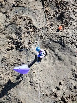 Premium Landscaping Services Logo