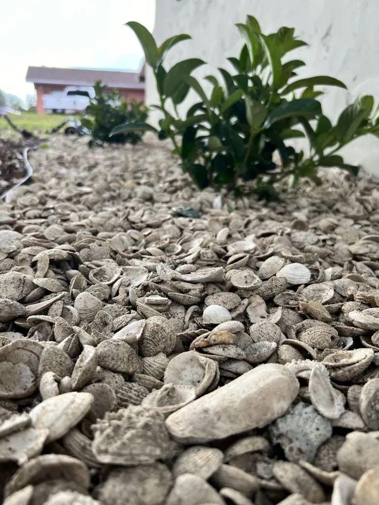 Trusted landscape installation for outdoor upgrades across St. Cloud, FL - Premium Landscaping Services