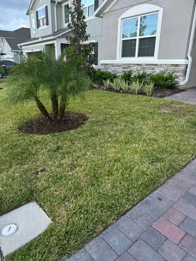 Professional yard maintenance in St. Cloud, FL - Premium Landscaping