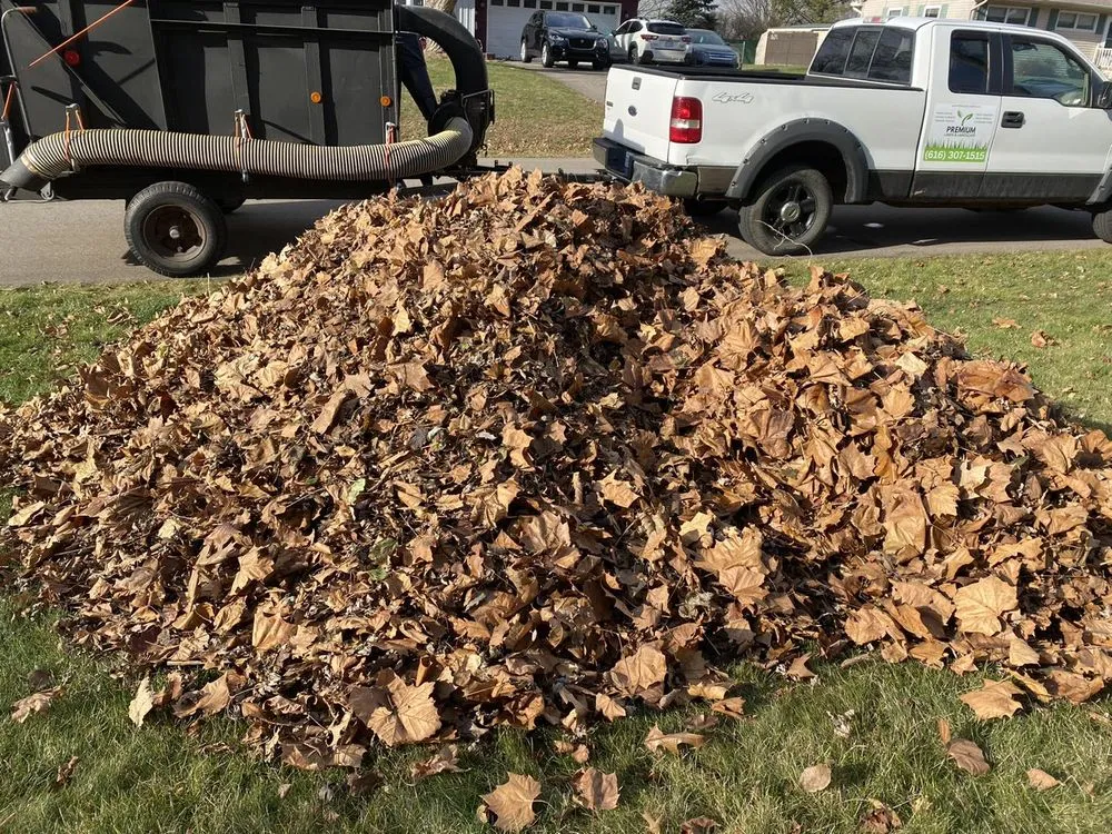Trusted yard cleanup service in Battle Creek, MI - Premium Lawn & Landscape