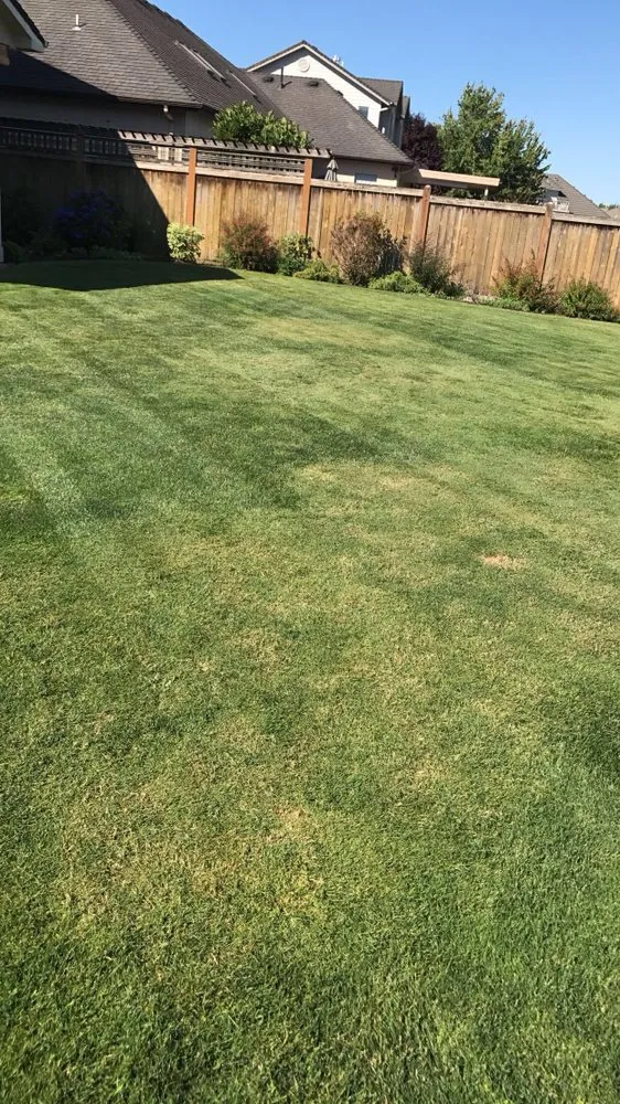 Affordable yard maintenance in Eugene, OR - Premium Lawn & Landscapes