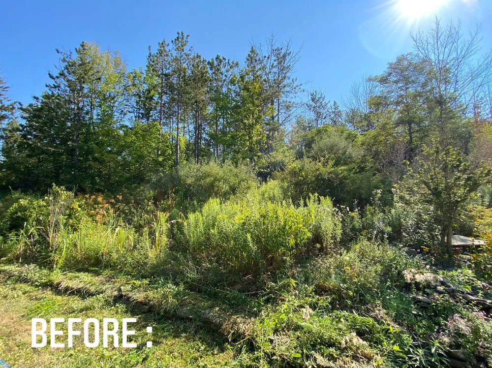 Custom landscape installation with custom design across Wellsboro, PA - Premium Lawn & Landscaping