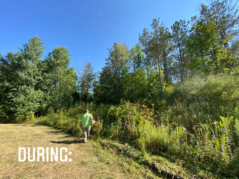 Reliable landscape installation for homes across Wellsboro, PA - Premium Lawn & Landscaping