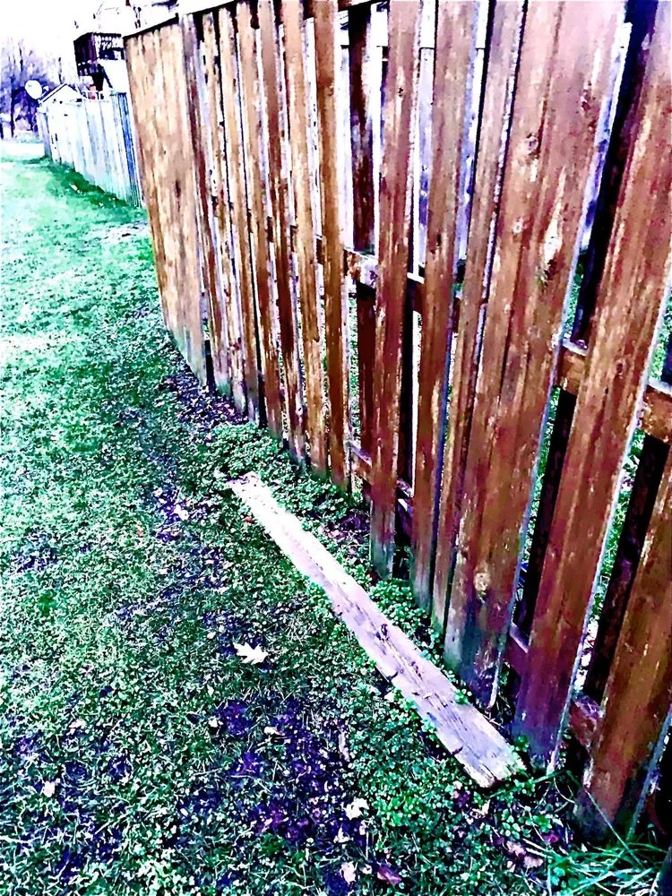 Affordable garden landscaping for beautiful yards in Fairfax, VA by Premium Lawn and Landscape