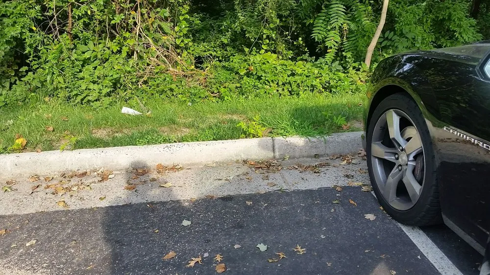 Local garden landscaping for homes across Fairfax, VA - Premium Lawn and Landscape