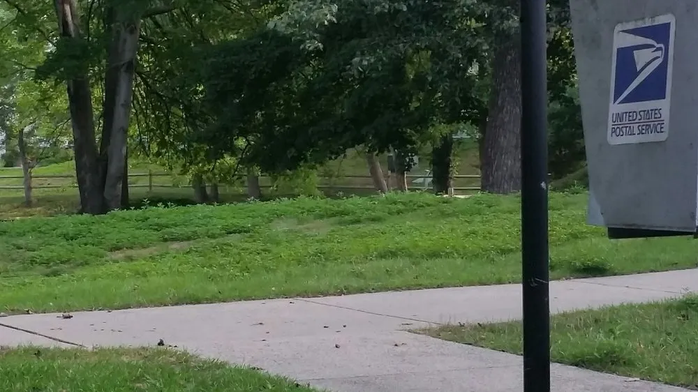 Trusted garden landscaping experts serving Fairfax, VA - Premium Lawn and Landscape