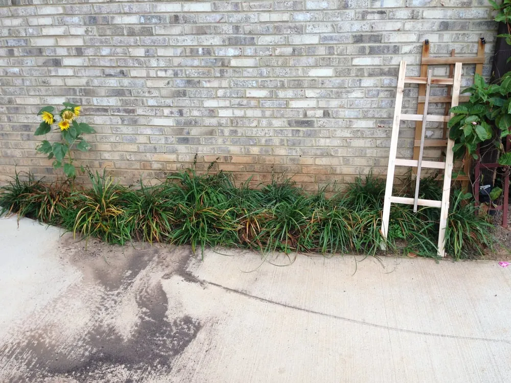 Professional garden landscaping in Fairfax, VA by Premium Lawn and Landscape