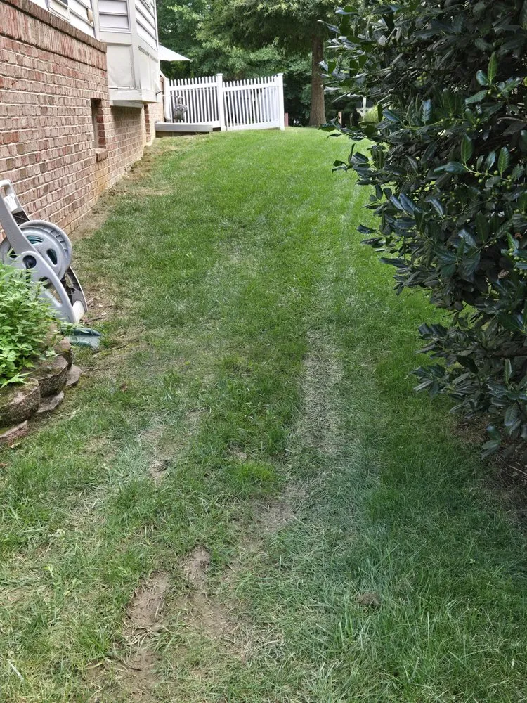 Custom landscape installation in Fairfax, VA - Premium Lawn and Landscape