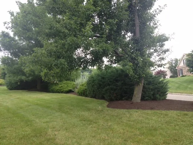 Custom yard cleanup service for beautiful yards across High Bridge, NJ - Premium Lawn and Landscape