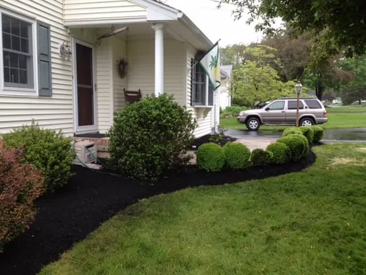 Premium Lawn and Landscape