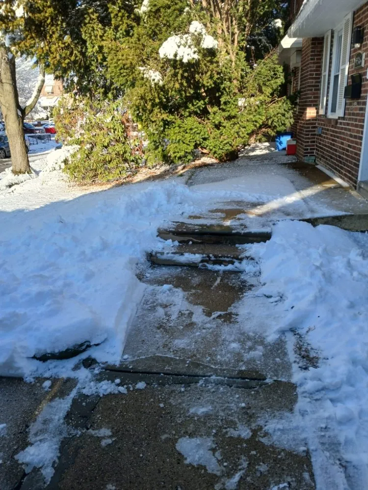 Professional yard maintenance in Philadelphia, PA by Premium Lawn Care & Snow