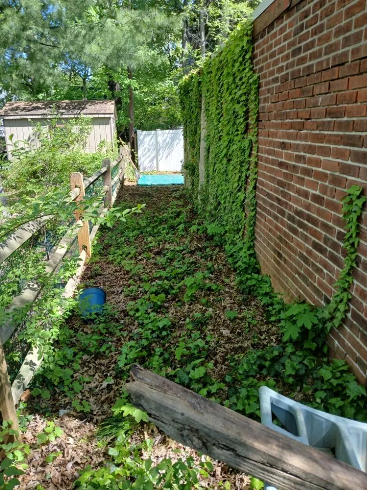 Custom landscape design for year-round maintenance in Philadelphia, PA by Premium Lawn Care & Snow