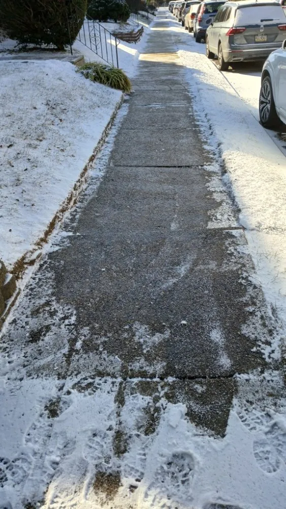 Expert lawn care service in Philadelphia, PA - Premium Lawn Care & Snow