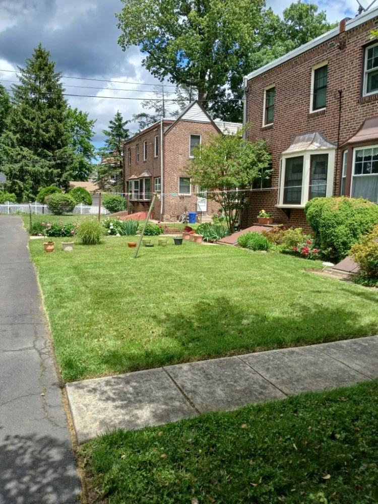 Expert yard cleanup service experts serving Philadelphia, PA - Premium Lawn Care & Snow