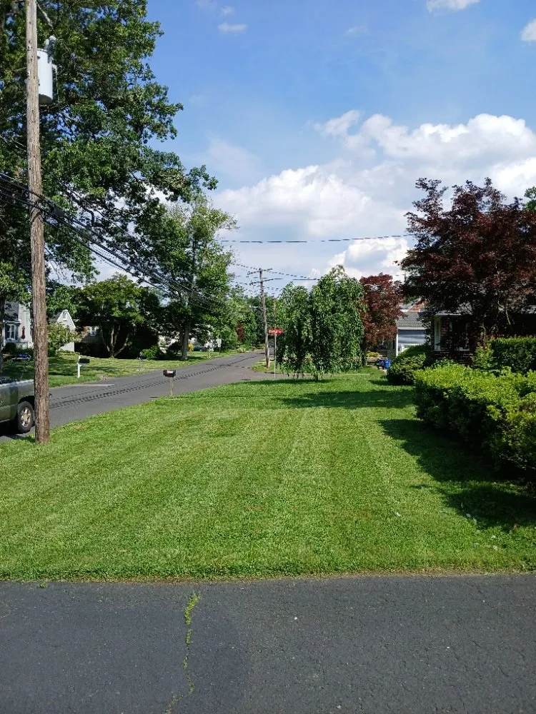 Expert landscape installation experts serving Philadelphia, PA - Premium Lawn Care & Snow