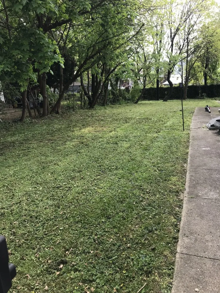 Affordable landscape design in Philadelphia, PA - Premium Lawn Care & Snow