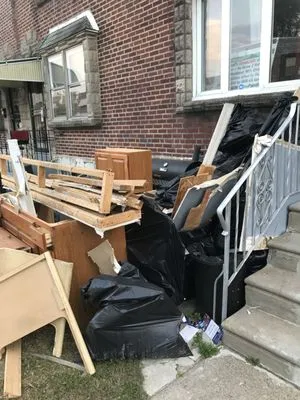 Premium Lawn Care & Snow Logo