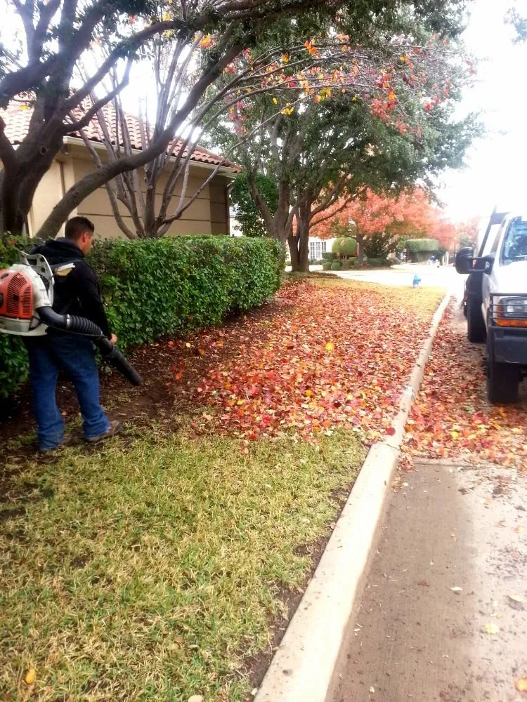 Expert garden landscaping for outdoor upgrades in Aubrey, TX by Premium Lawn Care