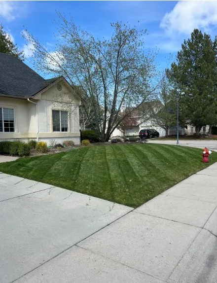 Trusted lawn care service in Boise, ID - Premium Lawn Care
