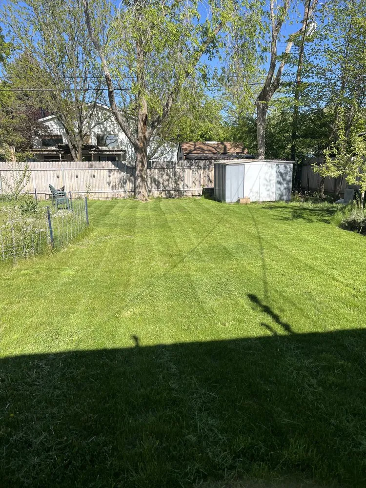 Trusted yard cleanup service in Boise, ID by Premium Lawn Care