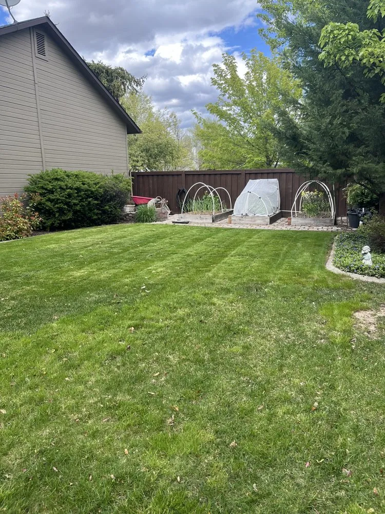 Expert yard cleanup service for beautiful yards in Boise, ID by Premium Lawn Care