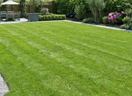 Local landscape installation in Boise, ID - Premium Lawn Care