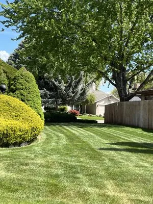 Premium Lawn Care Logo