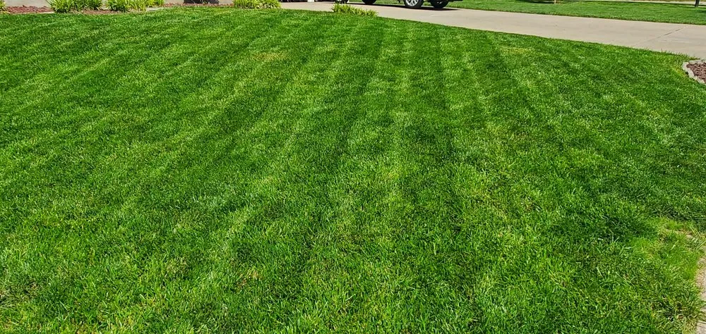 Reliable landscape design for residential properties in Ofallon, MO by Premium Lawn Care