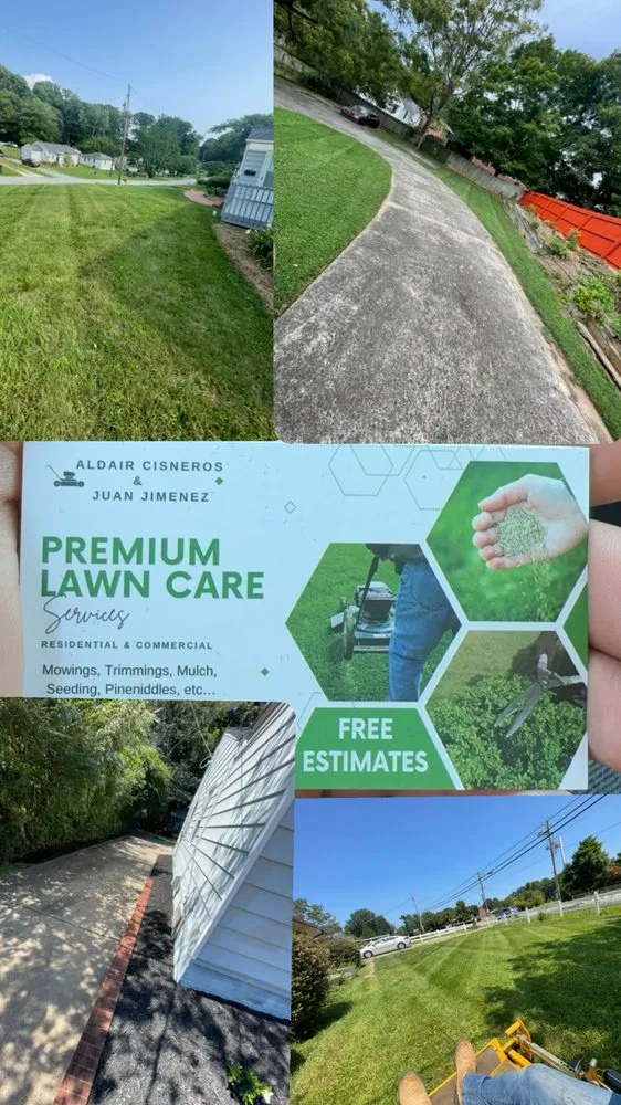 Trusted yard cleanup service in Winston-Salem, NC by Premium Lawn Care Services
