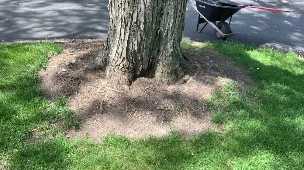 Affordable lawn care service for year-round maintenance in West Chicago, IL by Premium Lawn Service