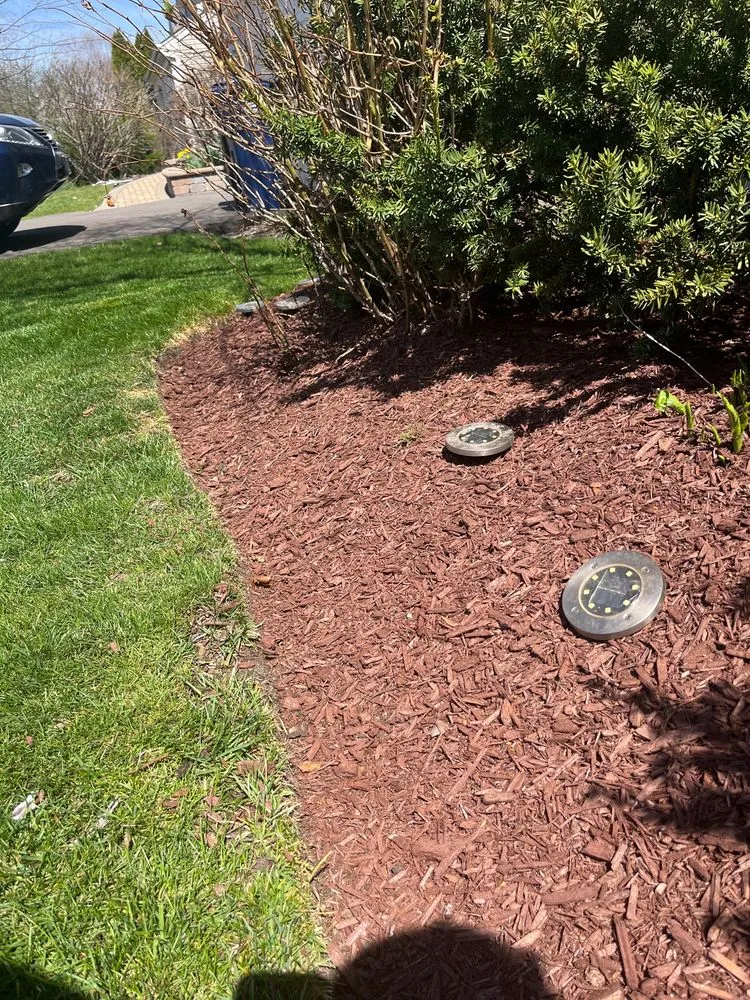 Trusted lawn care service in West Chicago, IL - Premium Lawn Service