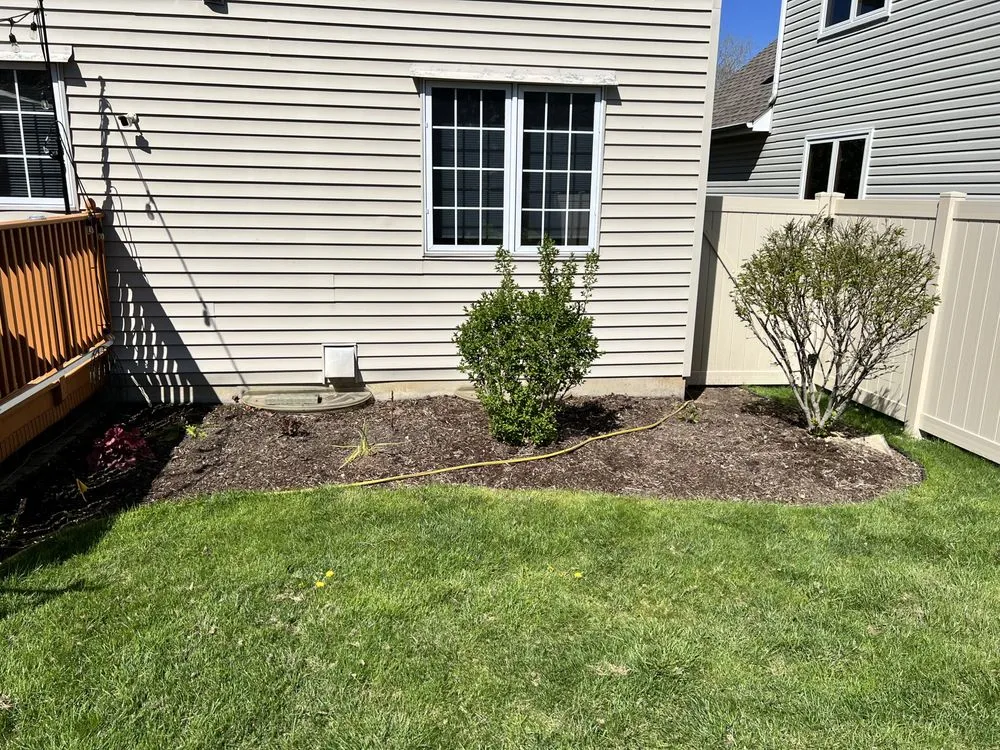 Professional yard cleanup service in West Chicago, IL - Premium Lawn Service