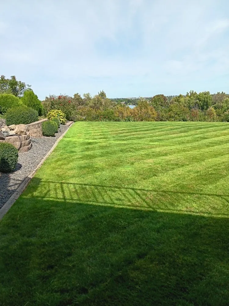 Professional yard maintenance in Richland, WA - Premium Lawncare