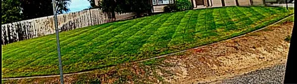 Premium Lawncare Logo