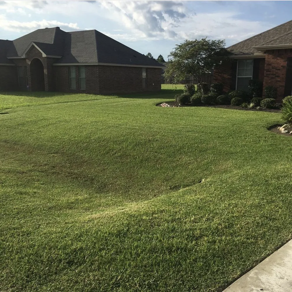 Local landscaping services near you across Bridge City, TX - Premium Lawns