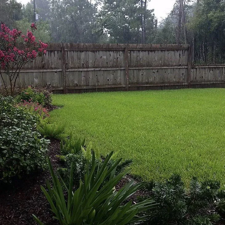 Professional landscaping services in Bridge City, TX by Premium Lawns