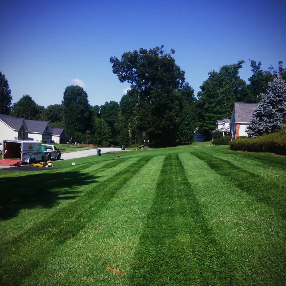 Expert residential landscaping near you in Asheville, NC by Premium Organic