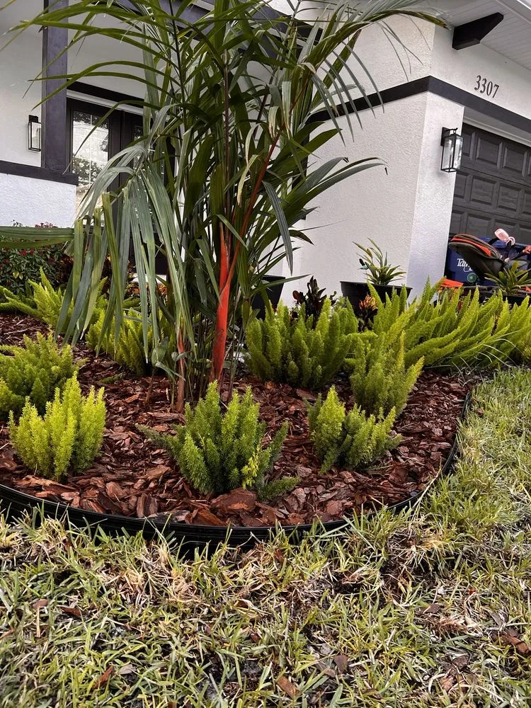 Reliable residential landscaping in Tampa, FL by Premium Outdoor Living
